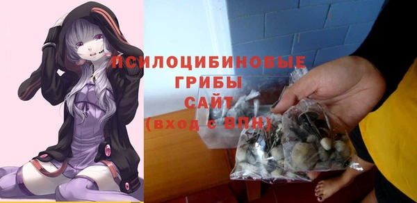 амф Балахна