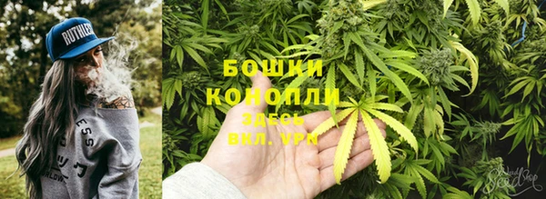 амф Балахна