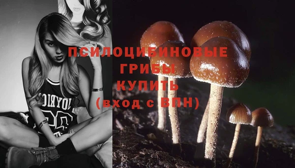 амф Балахна